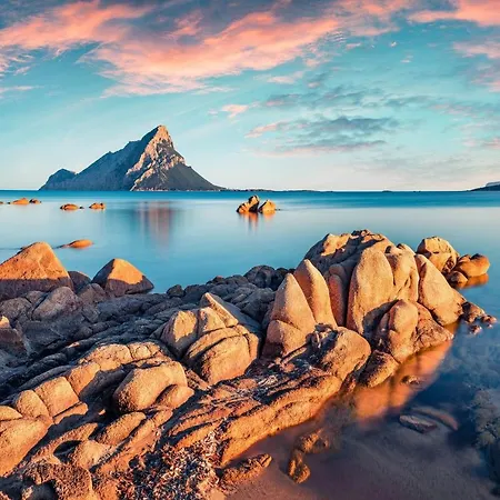 Victoria 1.5 Km From The - Happy