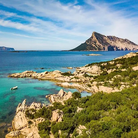 Victoria 1.5 Km From The - Happy *